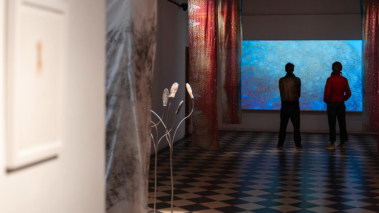 bezoeker bij kunstwerken op de expo Sea Through Skin