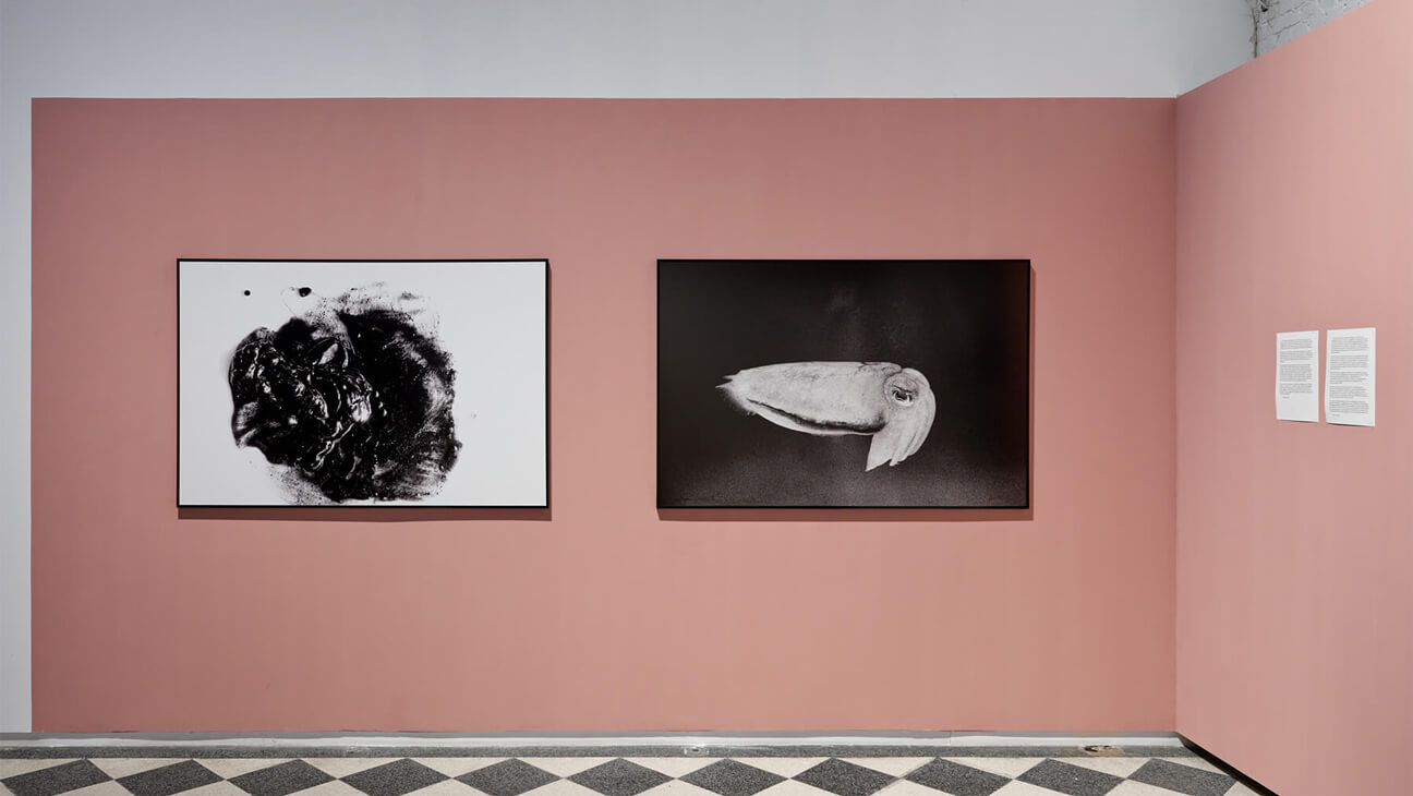 kunstwerk op de expo Sea Through Skin