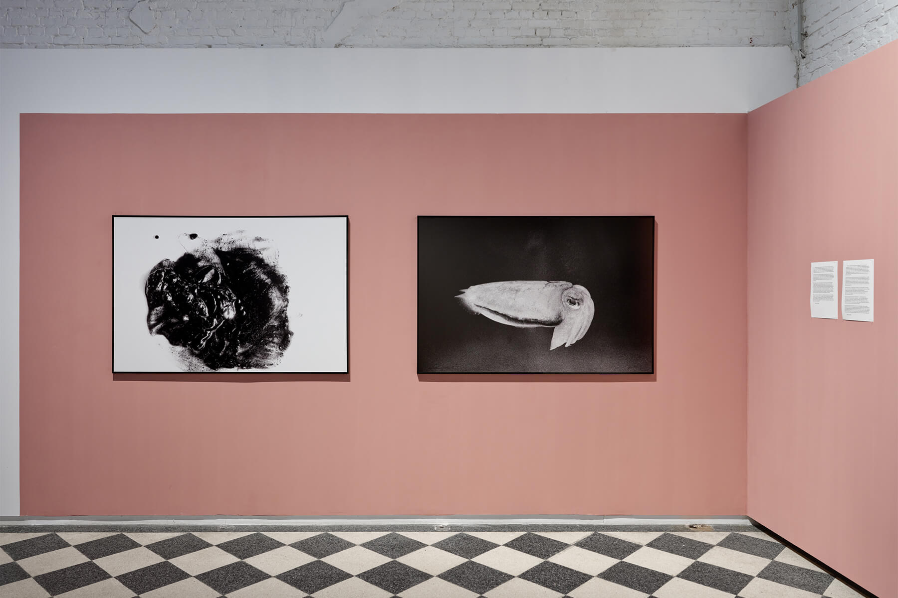 kunstwerk op de expo Sea Through Skin