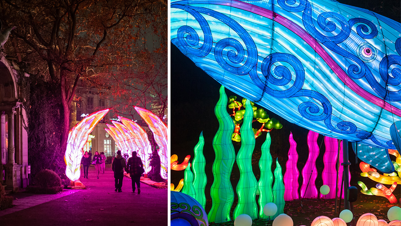 Foto's uit het lichtfestival Magic Ocean
