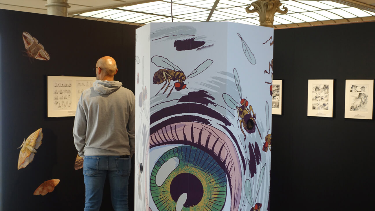 Werken uit de expo De natuur van Wauter Mannaert