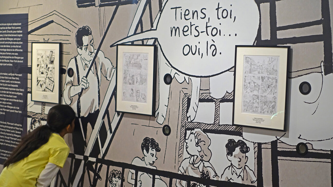 Werken uit de expo De natuur van Wauter Mannaert