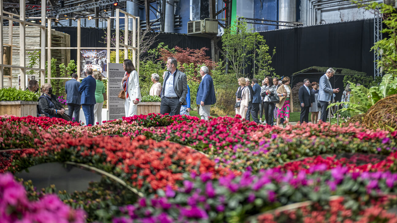 bloemen op de expo Floraliën in Gent