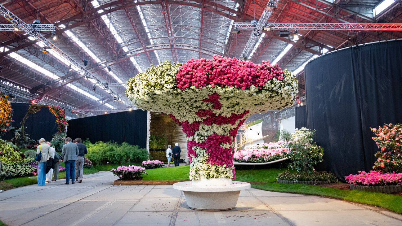 bloemen op de expo Floraliën in Gent