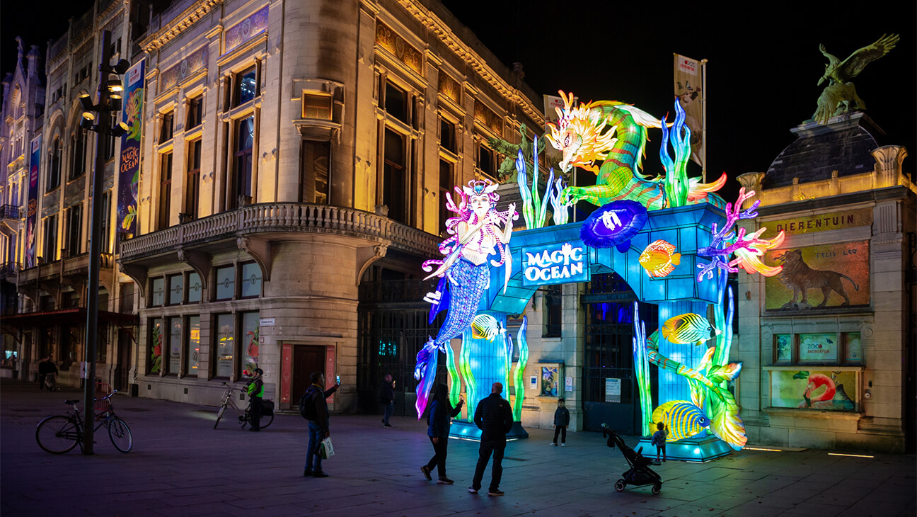 Inkom van 'Magic ocean'