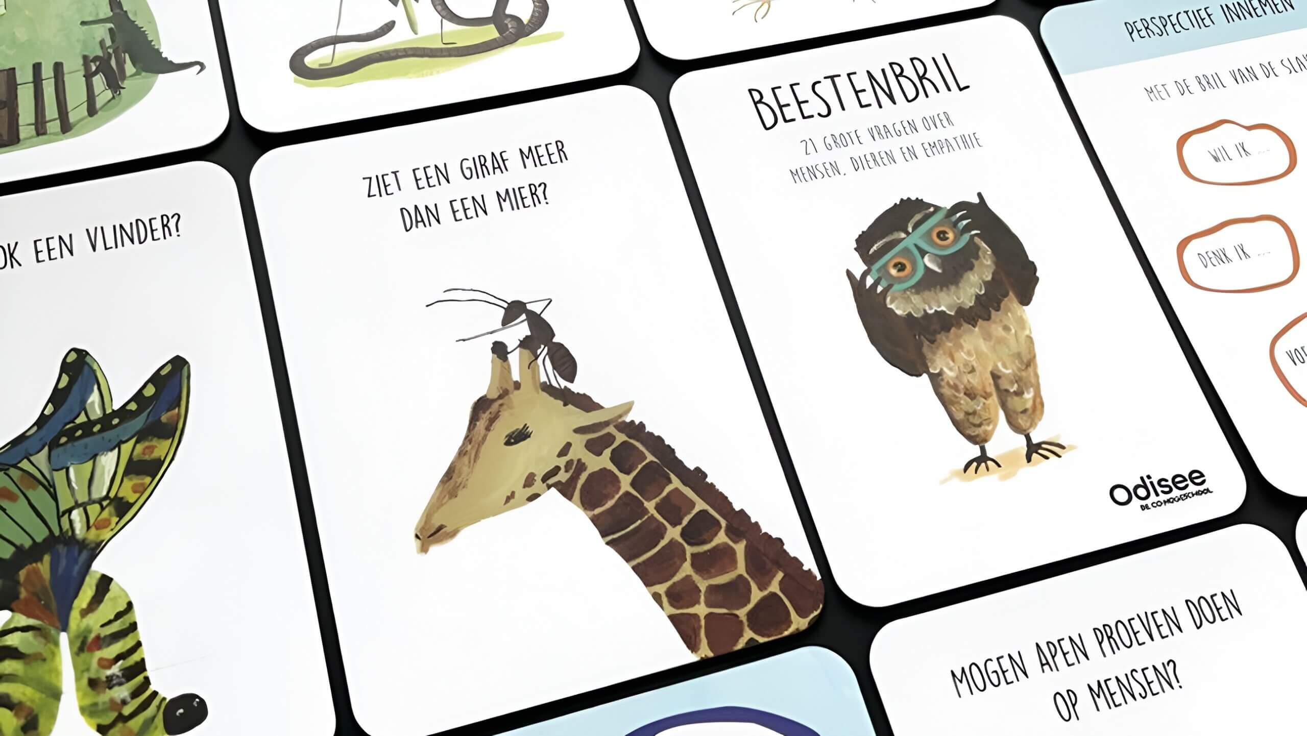 Afbeelding van het spel 'Beestenbril'