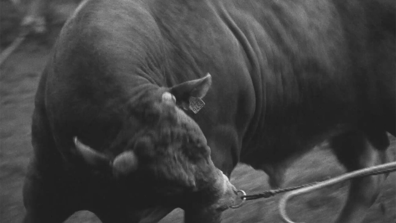 José. Le dernier jour, 2024-2025. Film super 16 mm, sonore, 10 min