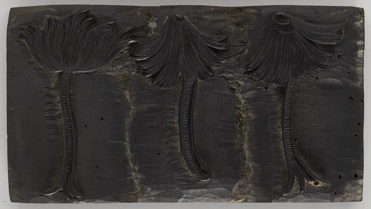 Beeld uit de expo 'de planten van Plantijn'