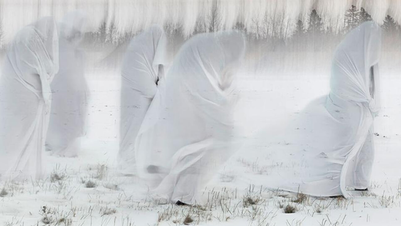 Foto van Mashid Mohadjerin uit de expo 'Drifting Belgians'